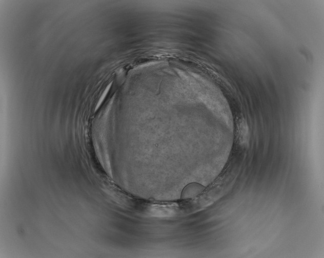 X0000111900571200908101143