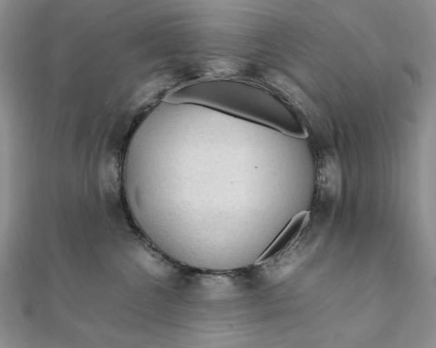 X0000111900572200908101143