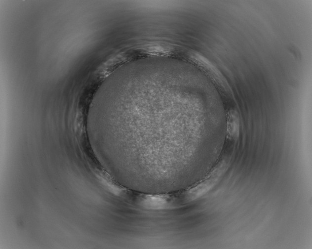 X0000111900573200908101143