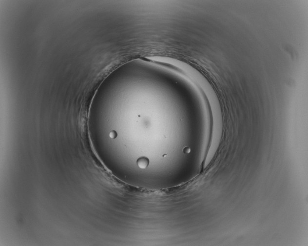 X0000111900576200908101143