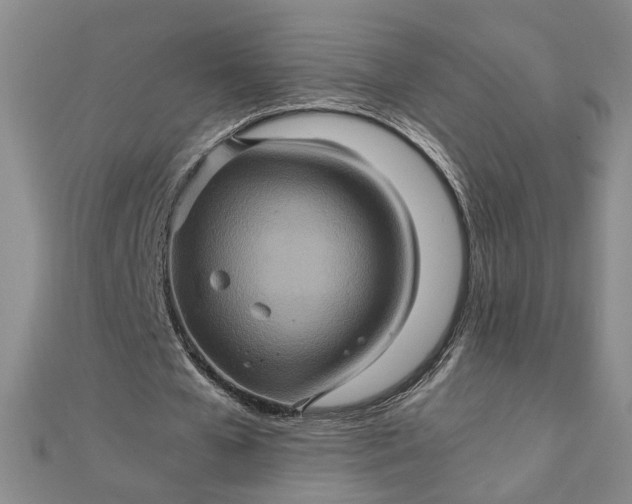 X0000111900577200908101142