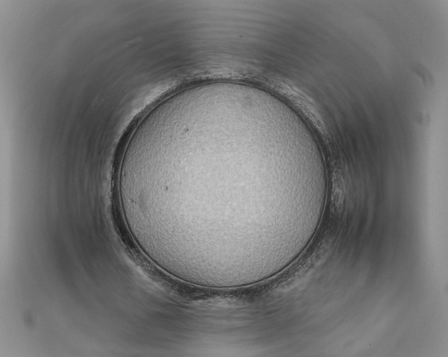 X0000111900578200908101142