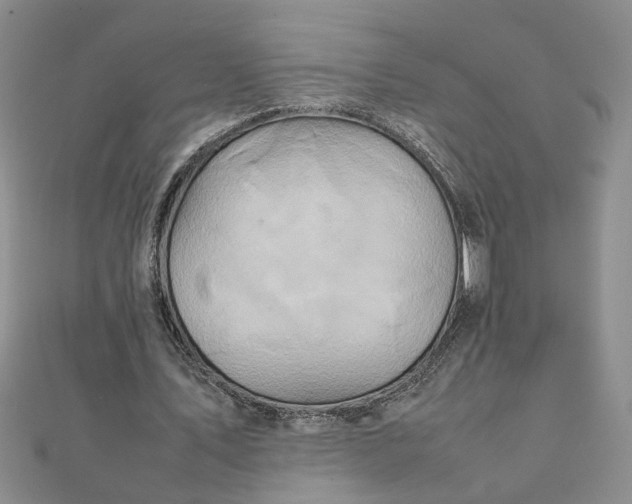 X0000111900579200908101142