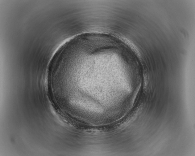 X0000111900580200908101142