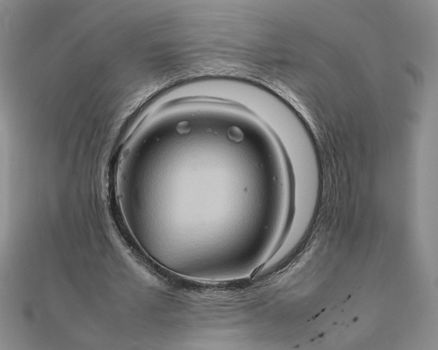 X0000111900581200908101142