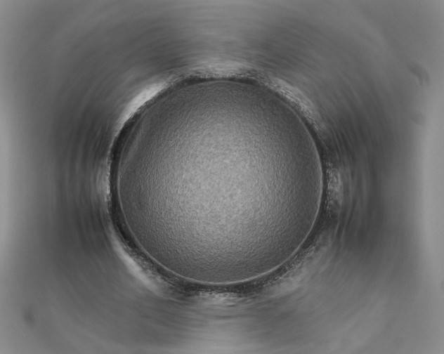 X0000111900582200908101142