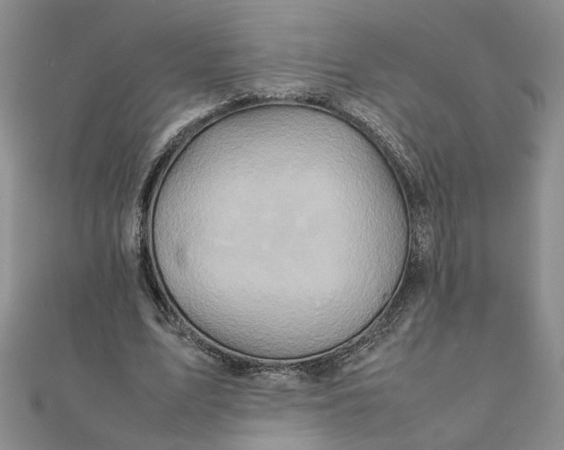 X0000111900583200908101142