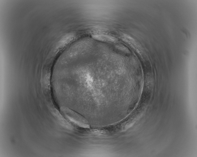 X0000111900585200908101142