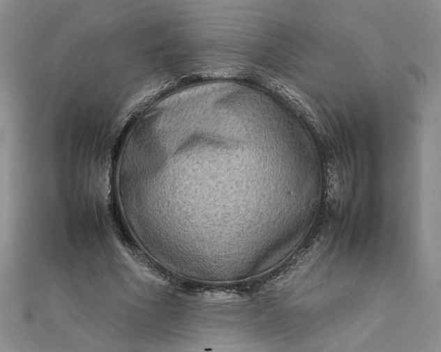 X0000111900586200908101142