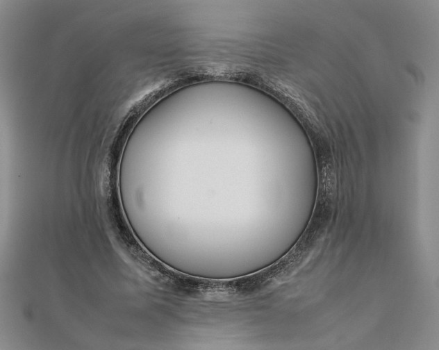 X0000111900587200908101142