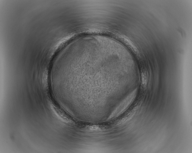 X0000111900588200908101142