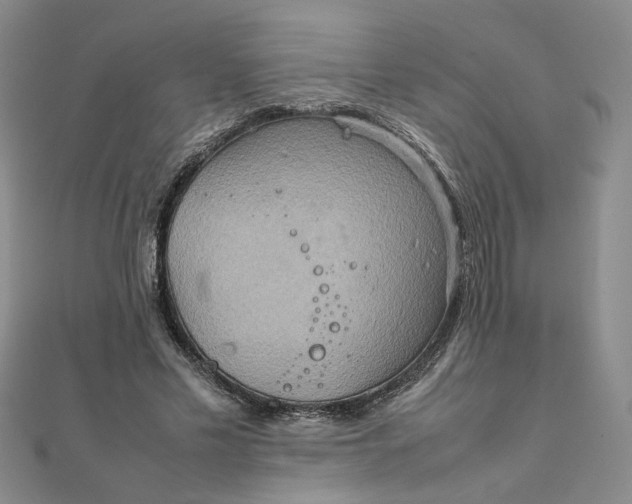 X0000111900589200908101142