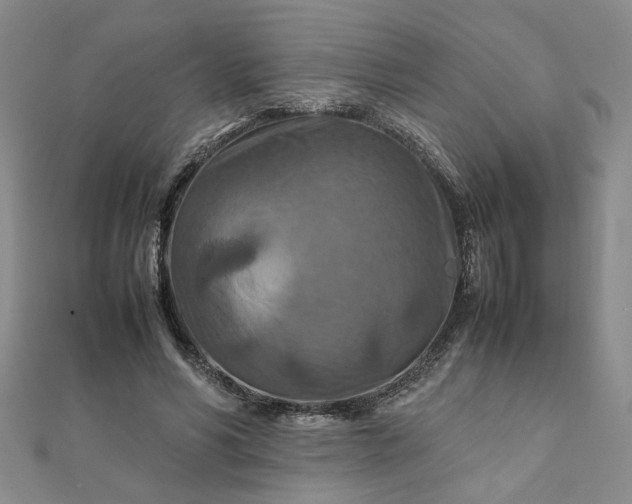 X0000111900590200908101142