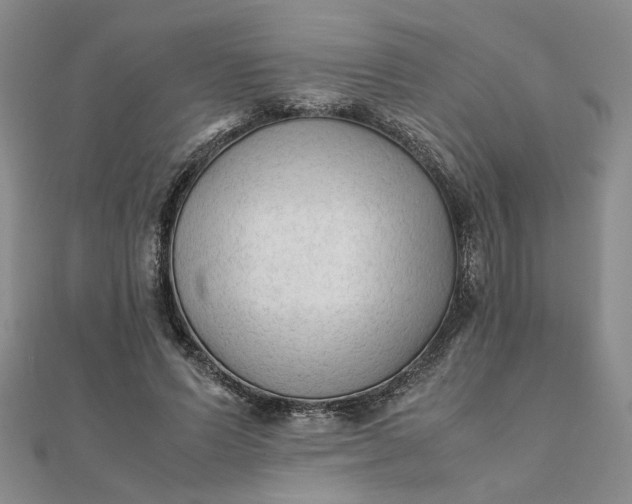 X0000111900591200908101142