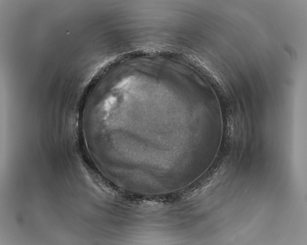 X0000111900592200908101142