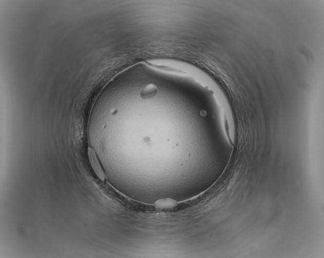 X0000111900593200908101142