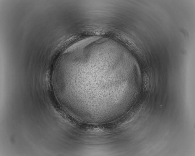 X0000111900594200908101142