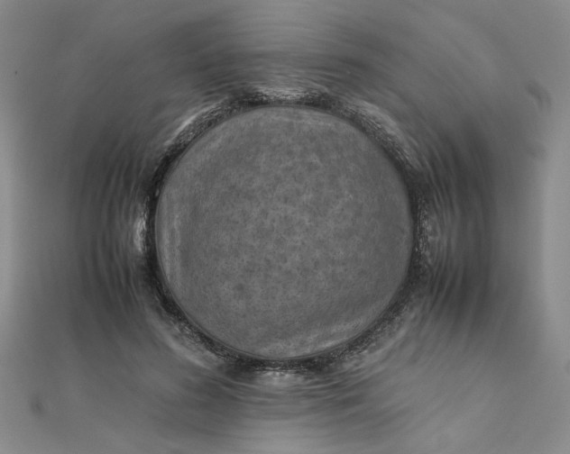 X0000111900596200908101142