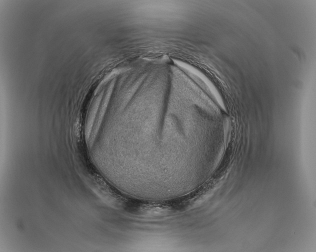 X0000111900597200908101142