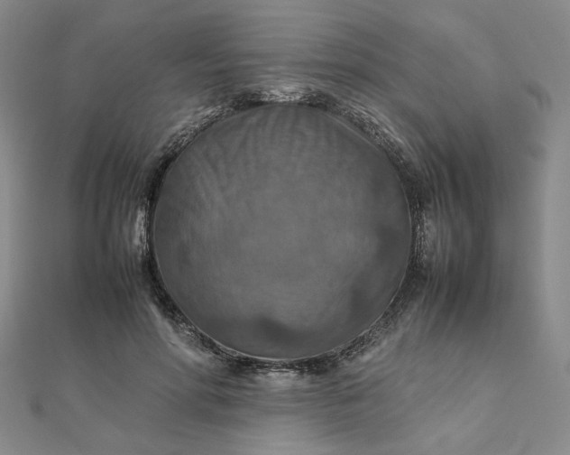 X0000111900598200908101142