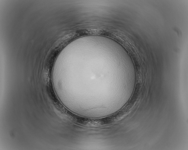 X0000111900599200908101142