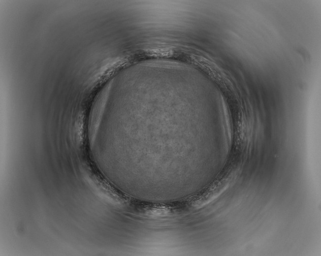 X0000111900600200908101142