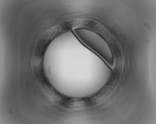 X0000111900601200908101142