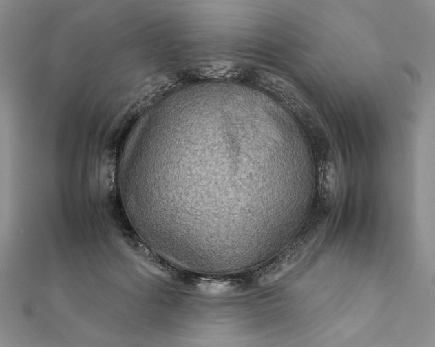 X0000111900602200908101142