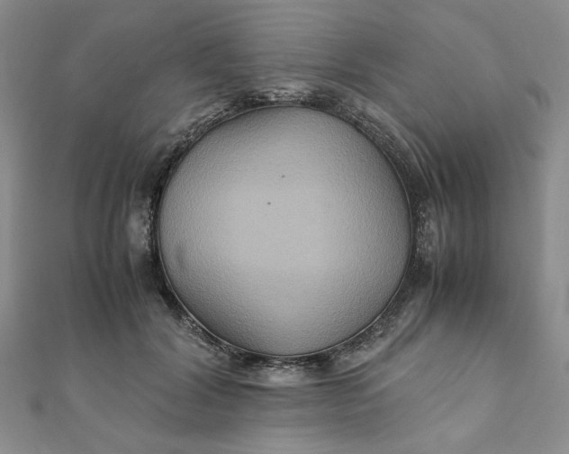 X0000111900604200908101142