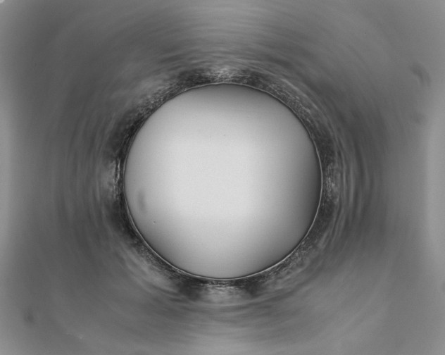 X0000111900605200908101142