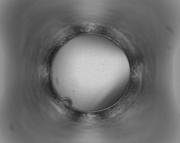 X0000111900607200908101142