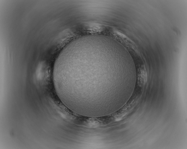 X0000111900608200908101142