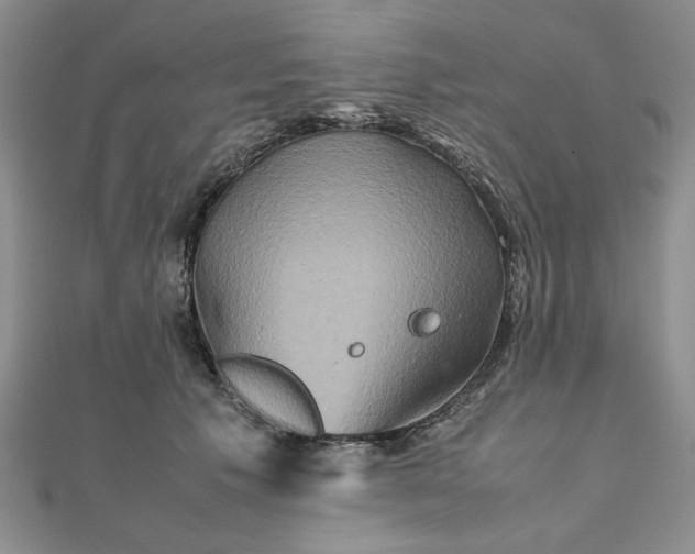 X0000111900609200908101142