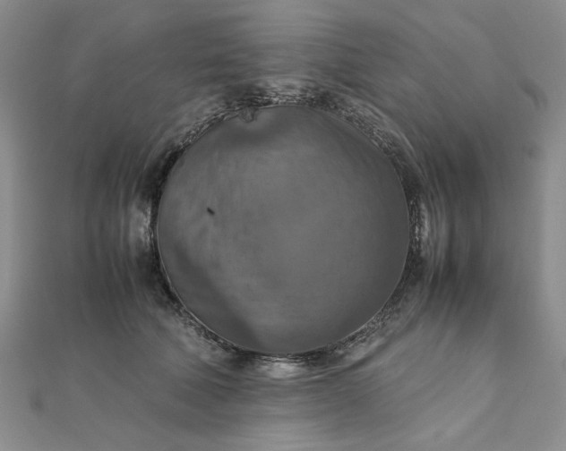 X0000111900610200908101142