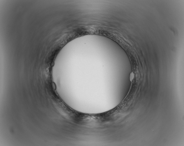 X0000111900611200908101142