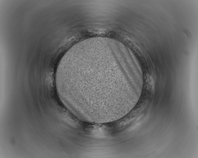 X0000111900612200908101142