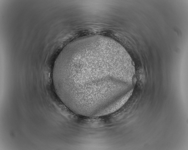 X0000111900615200908101141