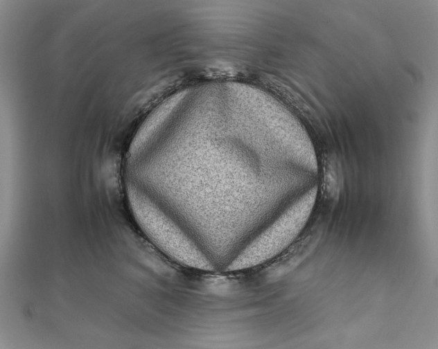 X0000111900616200908101141