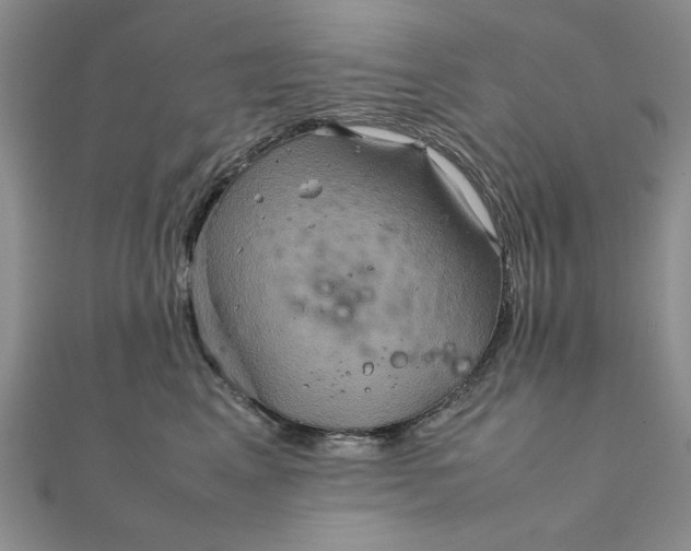 X0000111900617200908101141