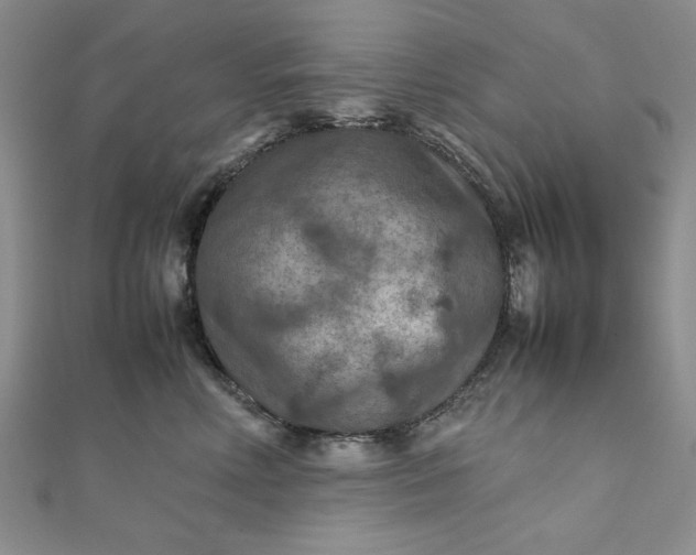 X0000111900618200908101141