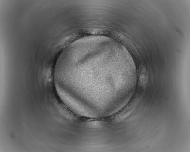 X0000111900620200908101141