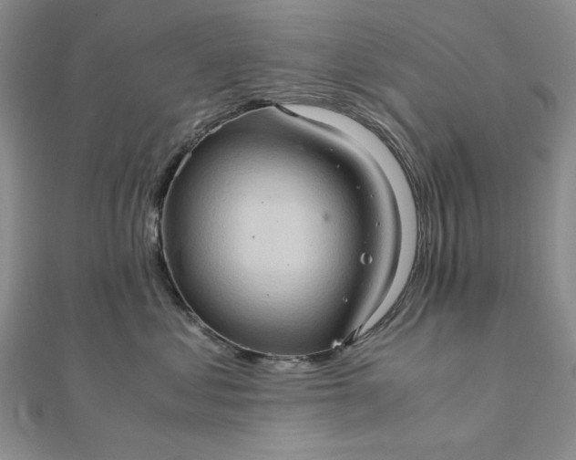 X0000111900621200908101141