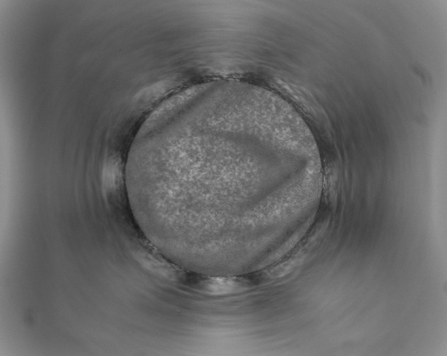 X0000111900623200908101141