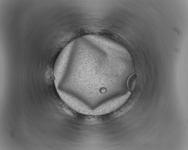 X0000111900624200908101141