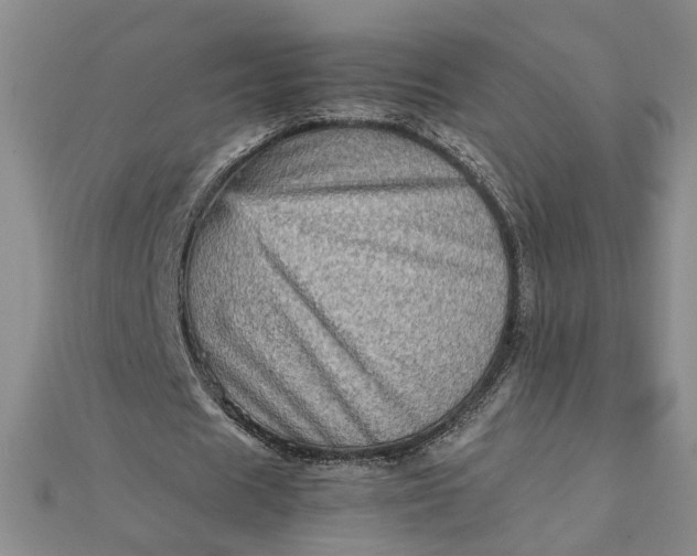 X0000111900625200908101141