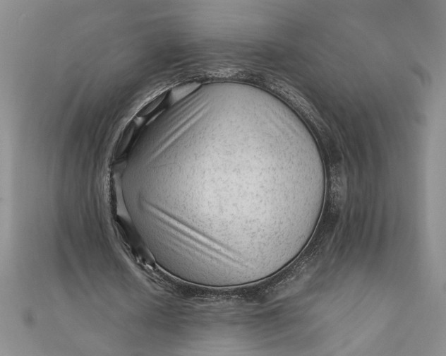 X0000111900626200908101141