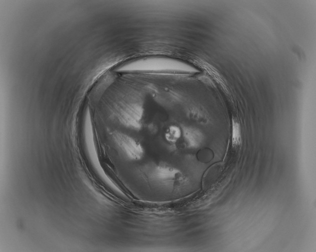 X0000111900627200908101141