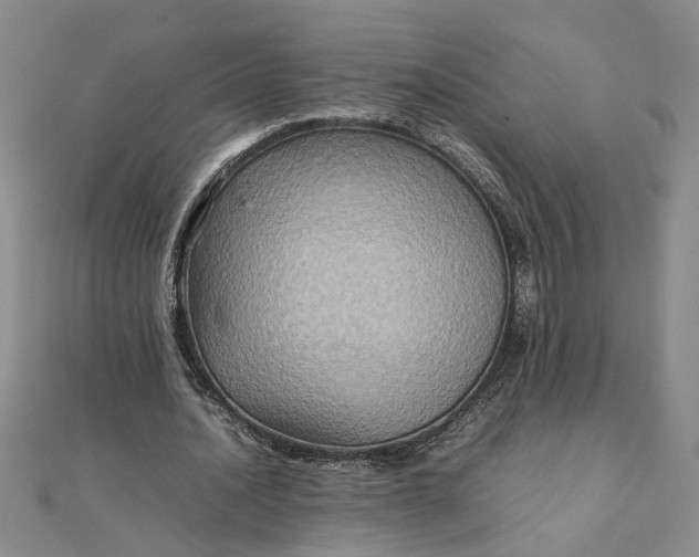 X0000111900628200908101141