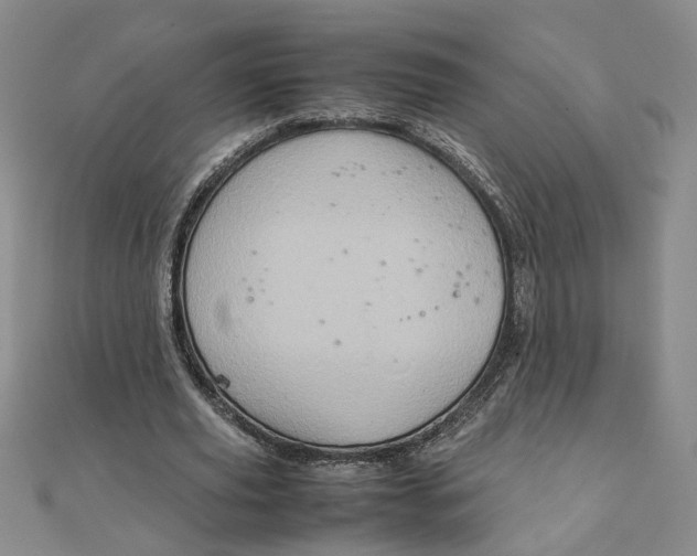 X0000111900629200908101141