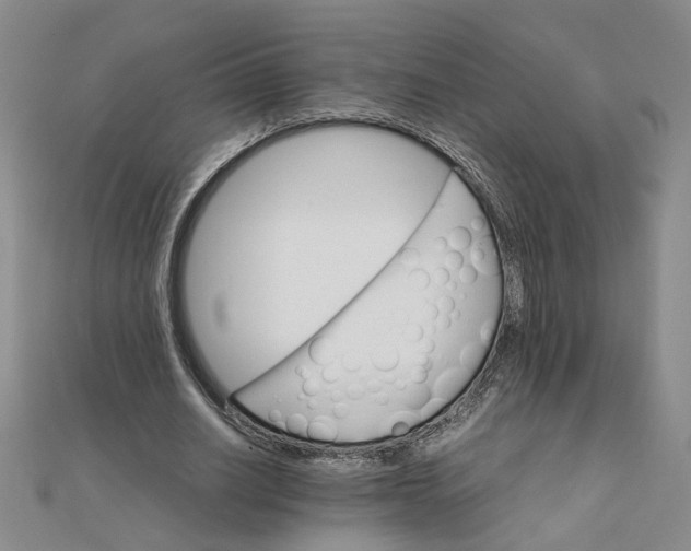 X0000111900630200908101141